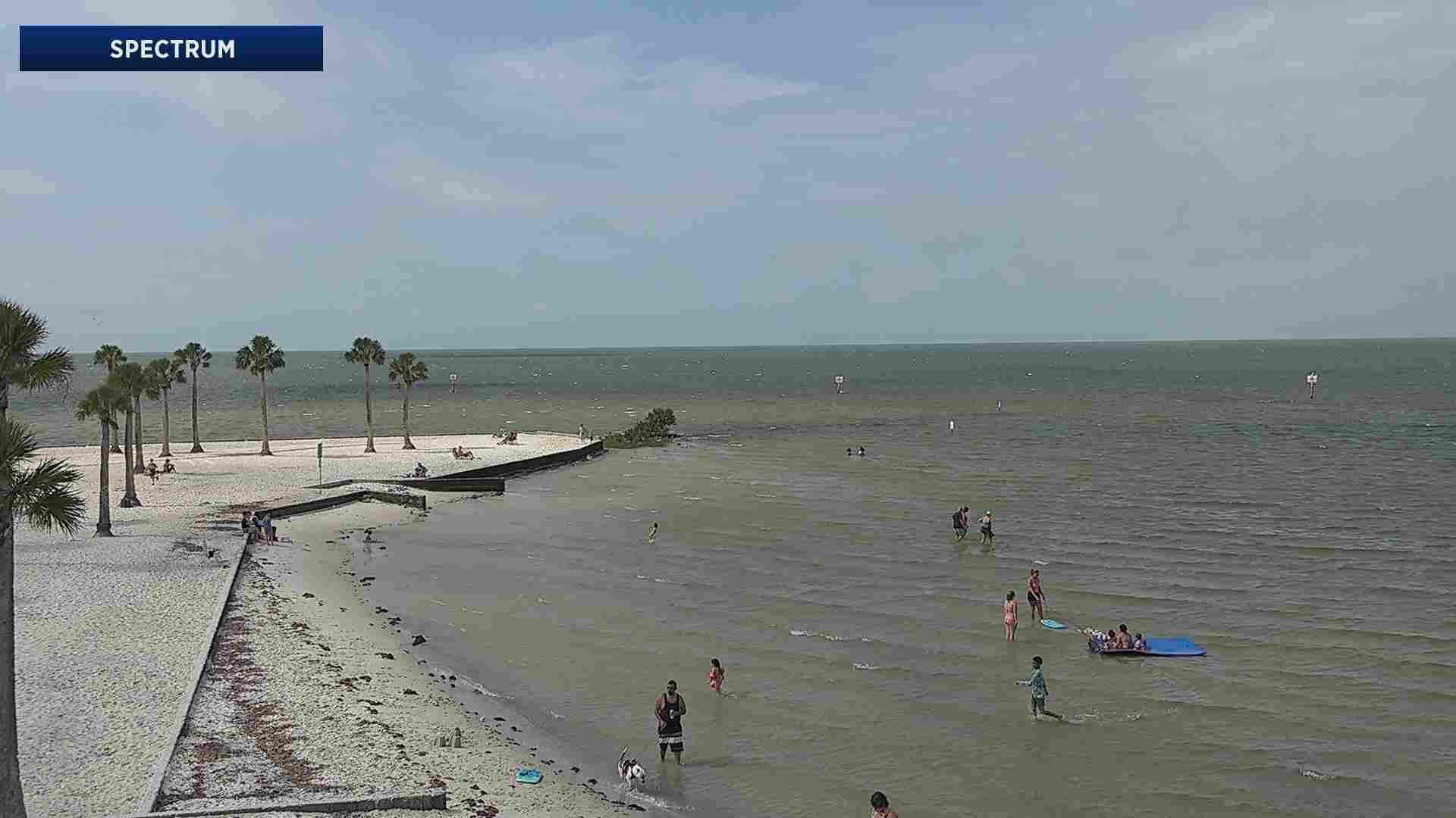 Webcam in Tampa, Florida - United States